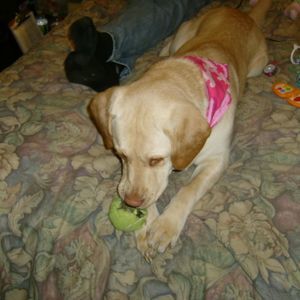 Meet your Posher, Dan